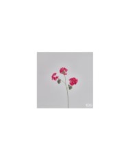 Ramo geranio con 3 fiori h. 58 cm col. beauty