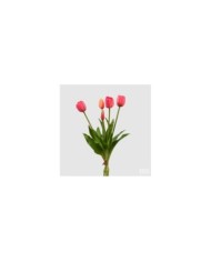 Mazzo di tulipani con 5 fiori h. 40 cm col. beauty