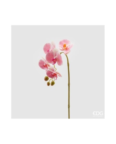 Ramo orchidea phal. con 5 fiori h. 70 cm col. bianco/rosa