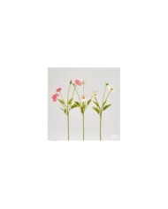 Papavero con 3 fiori h. 60 cm col. bianco/rosa(il prezzo fa riferimento al singolo papavero)