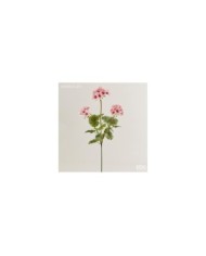 Ramo di geranio con 3 fiori. h. 70 cm col. rosa chiaro