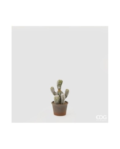 Cactus west con vaso in carta. h. 22 cm col. salvia -