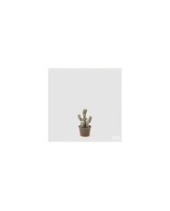 Cactus west con vaso in carta. h. 22 cm col. salvia -
