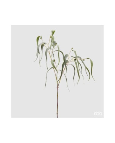 Eucalipto h. 115 cm col. verde