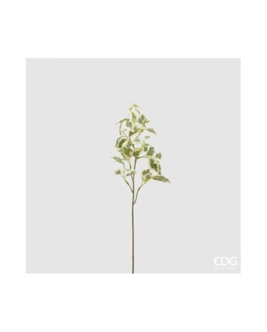 Ramo di Ficus benjiamin h. 76 cm col. verde/bianco