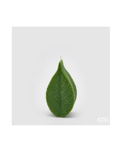 Candela Foglia. h. 16 cm col. verde. durata 7 ore