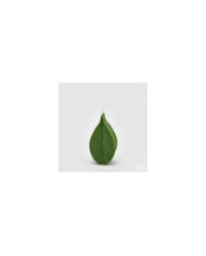 Candela Foglia. h. 16 cm col. verde. durata 7 ore