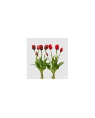 Mazzo tulipani con 5 fiori. h. 40 col. rosso (il prezzo fa riferimento al singolo mazzo)n