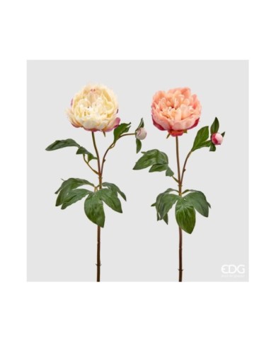 Peonia royal con bocciolo. tessuto. h. 66 col. rosa/crema (il prezzo fa riferimento al singolo fiore)