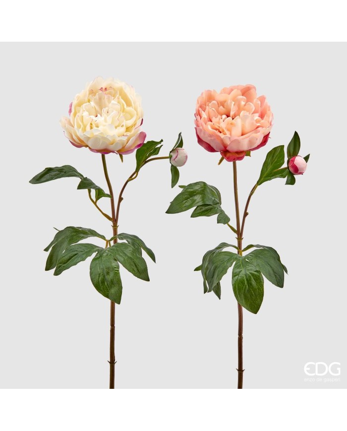 Peonia royal con bocciolo. tessuto. h. 66 col. rosa/crema (il prezzo fa riferimento al singolo fiore)