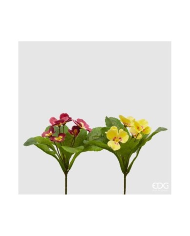Primule cespuglio con 6 fiori. h. 28 col. ass. (il prezzo fa riferimento al singolo pezzo)-