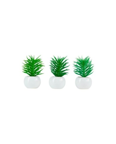 Dudleya artificiale in vaso bianco di ceramica h. 12 cm (il prezzo fa riferimento alla singola piantina)