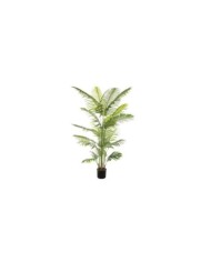 Pianta artificiale "Areca" con 23 foglie. 200 cm col. verde