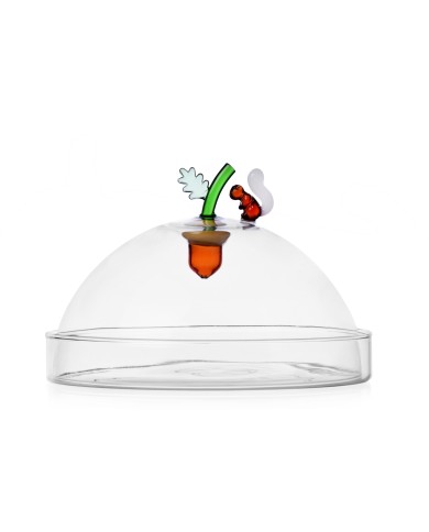 Cupola con piatto e ghianda, vetro borosilicato, ichendorf, h. 10/14 cm, diam. 20 cm, piatto 21 cm