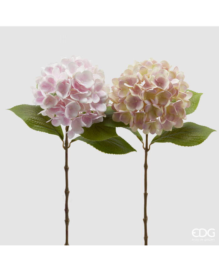 ortensia nobile new ramo con foglie, alt. 60 cm. col. rosa-crema (il prezzo fa riferimento al singolo fiore)