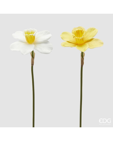 Narciso ramo, alt. 40 cm col. bianco-giallo (il prezzo fa riferimento al singolo fiore)