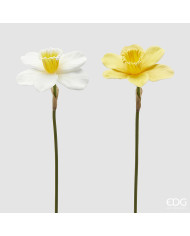 Narciso ramo, alt. 40 cm col. bianco-giallo (il prezzo fa riferimento al singolo fiore)