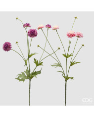 Dalia, mini ramo, con 4 fiori e con foglie, alt. 75 cm, col. 2 tonalità di rosa (il prezzo fa riferimento al singolo ramo)