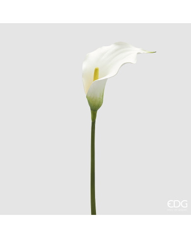 Calla, ramo, alt. 75 cm col. bianco
