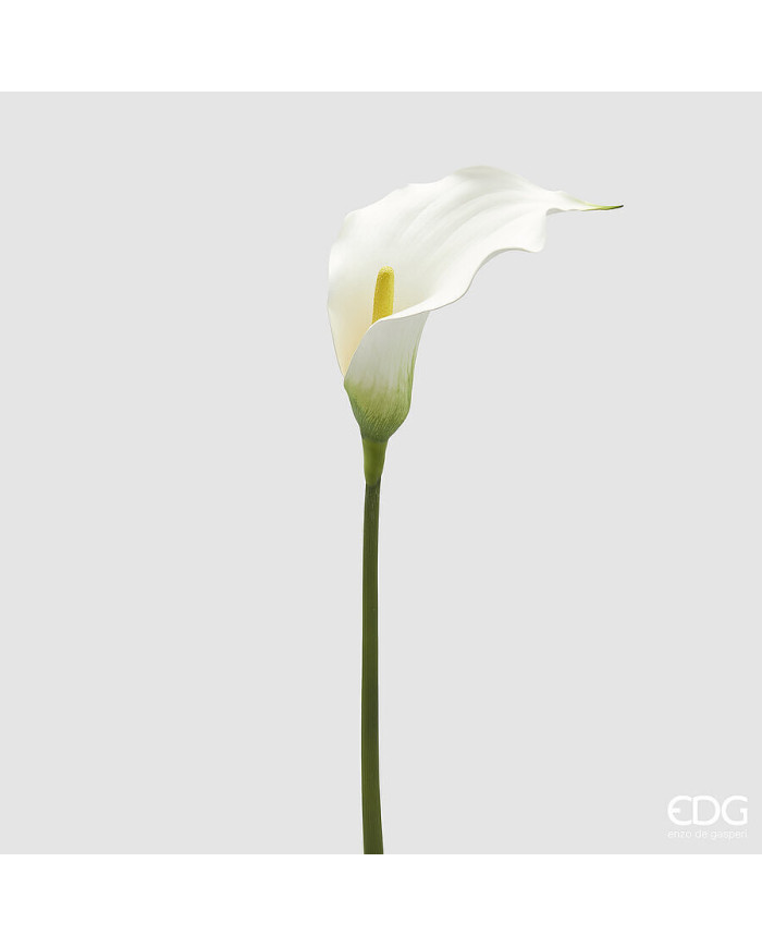 Calla, ramo, alt. 75 cm col. bianco