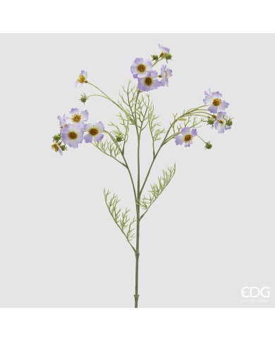 Cosmos, ramo con foglie, alt. 65 cm, col. lavanda