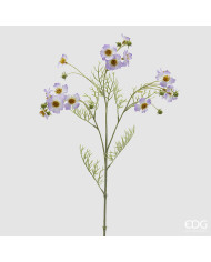 Cosmos, ramo con foglie, alt. 65 cm, col. lavanda