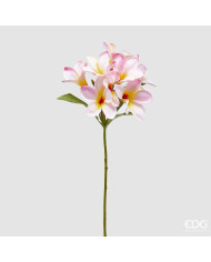 Ramo Frangipane con foglie, alt. 90 cm col. bianco rosa