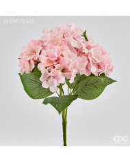 Ortensia bliss , con 5 cespugli, alt. 45 cm, col. rosa