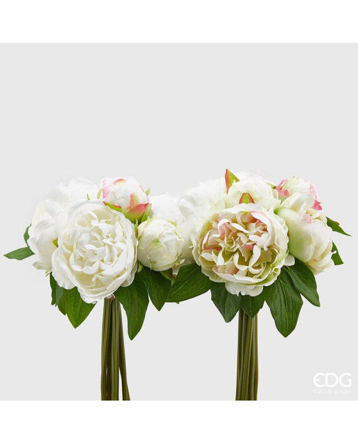 Peonia olis mazzo 9 fiori con bocciolo alt. 43 cm, col. bianco (il prezzo fa riferimento al singolo mazzo)