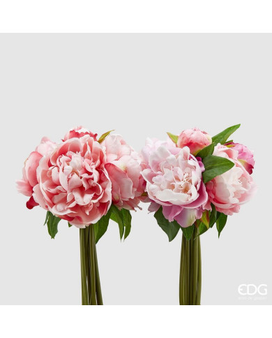 Peonia olis mazzo 9 fiori con bocciolo alt. 43 cm, col. 2 toni di rosa (il prezzo fa riferimento al singolo mazzo)