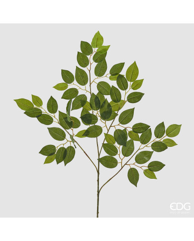 Ramo Ficus beniamino alt. 63 cm, col. verde