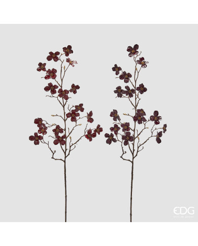 ramo Cornus lucido mi di rosso, h. 85 cm - edg (il prezzo fa riferimento al singolo ramo) ramo Cornus lucido mi di rosso, h. 85 cm - edg (il prezzo fa riferimento al singolo ramo)