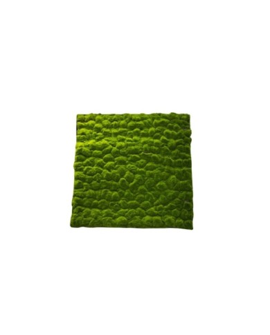 Mattonella muschio cm 100x100