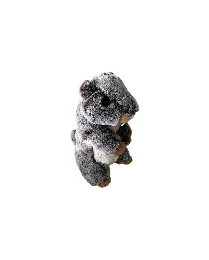 Marmotta peluche, 18 cm