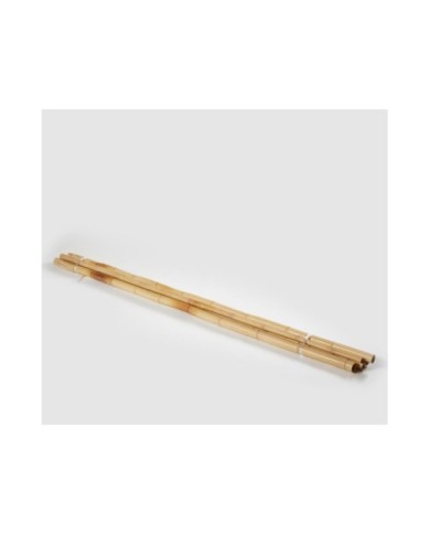 Bamboo tronco mazzo 5pz h240 col. naturale