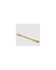 Bamboo tronco mazzo 5pz h240 col. naturale