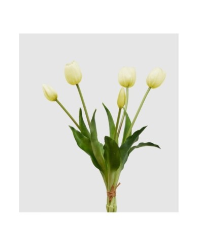 Mazzo di tulipani con 5 fiori h40 cm col bianco