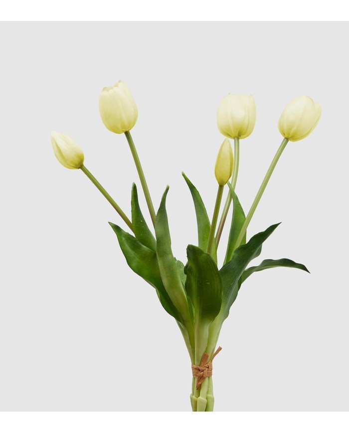 Mazzo di tulipani con 5 fiori h40 cm col bianco