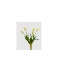 Mazzo di tulipani con 5 fiori h40 cm col bianco