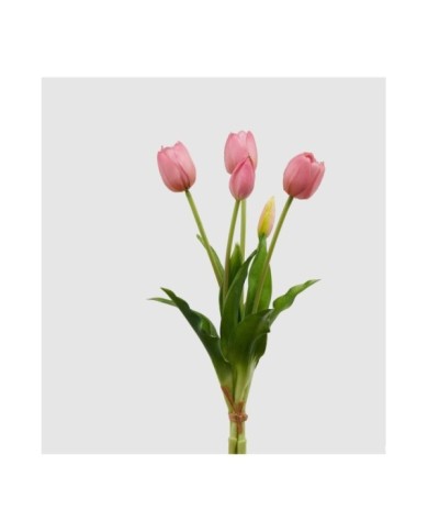 Mazzo di tulipani con 5 fiori h 40 cm col. mauve