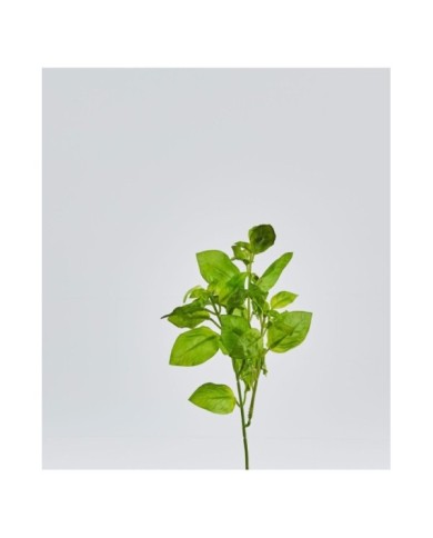 Basilico chic ramo h22 cm col. verde chiaro